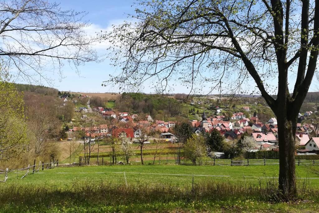 Ferienhaus Zum Kuckuck, Wng 2, Urlaub Im Eichsfeld Kallmerode Bagian luar foto