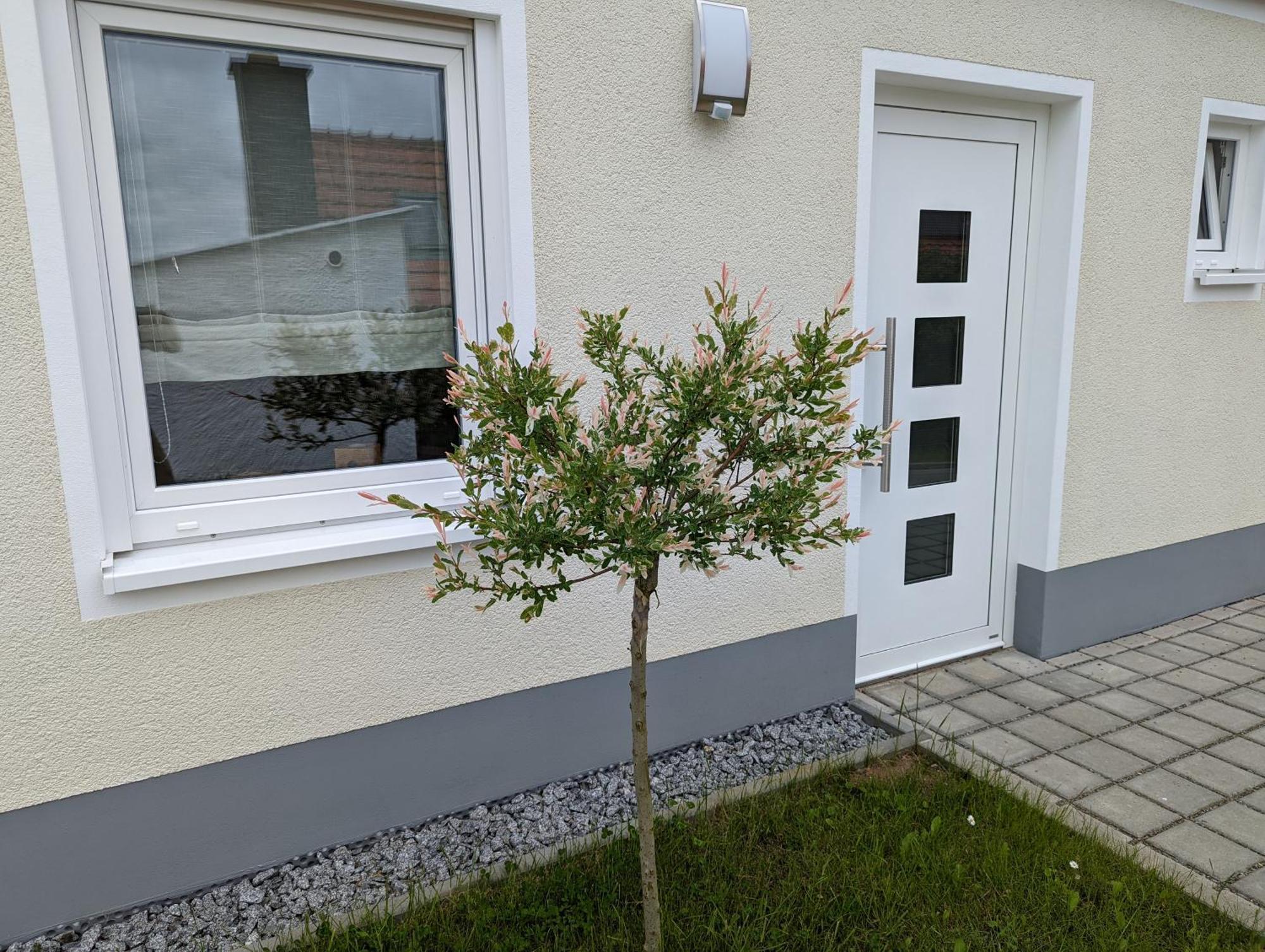 Ferienhaus Zum Kuckuck, Wng 2, Urlaub Im Eichsfeld Kallmerode Bagian luar foto