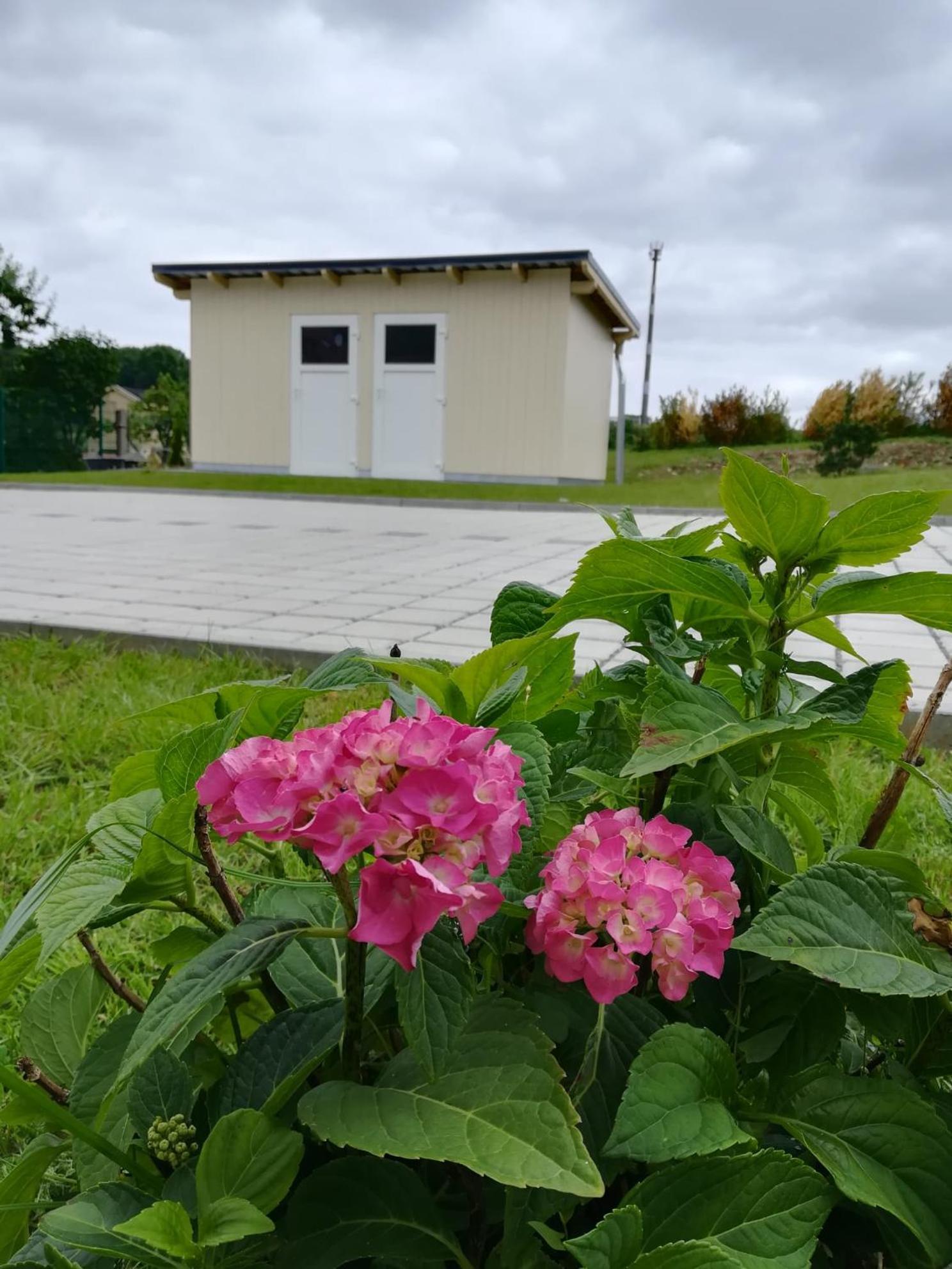 Ferienhaus Zum Kuckuck, Wng 2, Urlaub Im Eichsfeld Kallmerode Bagian luar foto